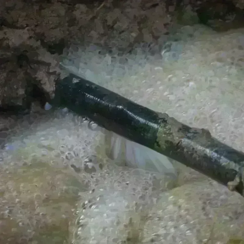 Pipe Burst and Leak Restoration in Kalaoa, HI